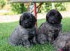 images/T-Wurf/T-Wurf Wo 6/3S8A2588.jpg